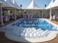/album/decoraciones-con-globos-el-circo-de-rastatin/globuslleida-idea-para-decorar-una-boda-con-globos-en-piscina-jpg/