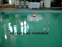 /album/decoraciones-con-globos-el-circo-de-rastatin/a1848-1034023825-jpg/