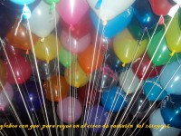 /album/decoraciones-con-globos-el-circo-de-rastatin/a163673-186205468064991-7913664-n-jpg/
