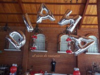 /album/decoraciones-con-globos-el-circo-de-rastatin/a100-2722-jpg/