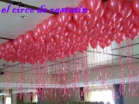 /album/decoraciones-con-globos-el-circo-de-rastatin/al-telf01-3629282-decoraciones-de-globos-con-helio-4738c06c-3-jpg/