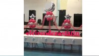 /album/decoraciones-con-globos-el-circo-de-rastatin/a10410310-929587503766625-5560470375947265069-n-jpg/